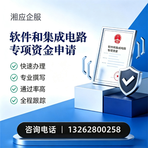 天水软件和集成电路专项资金申报服务