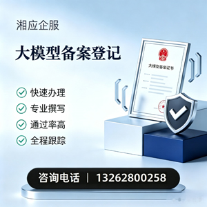 天水大模型备案申报服务