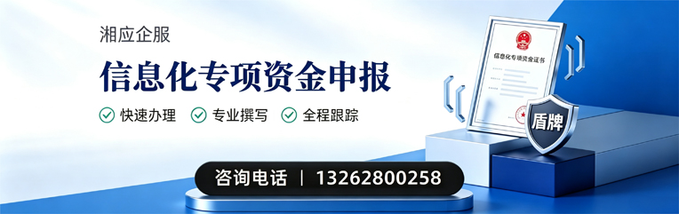 天水信息化专项资金申报服务