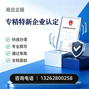 天水专精特新企业申报服务