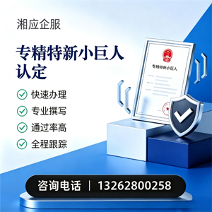 天水专精特新小巨人申报服务