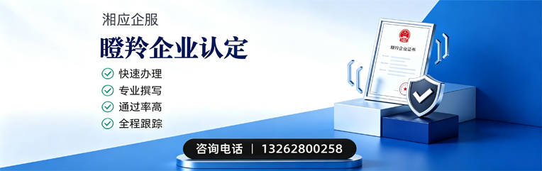天水瞪羚企业认定申报服务