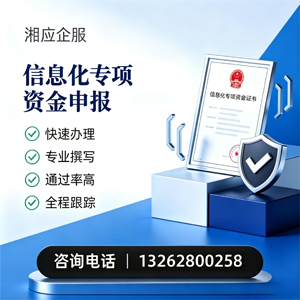 天水信息化专项资金申报服务