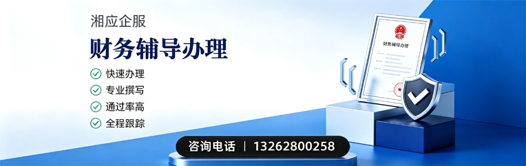 天水财务辅导申请服务
