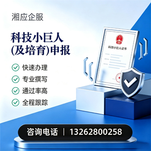 天水科技小巨人及培育企业申报服务