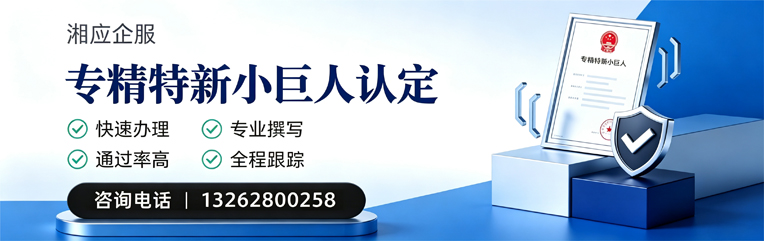 天水专精特新小巨人申报服务